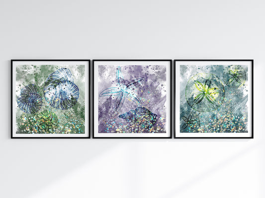 Coastal wall art, seashell art print, vibrant colours, spiritual wall art, set of 3, displayed in frame, ascension digital fine art.